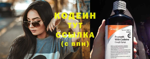 ГАЛЛЮЦИНОГЕННЫЕ ГРИБЫ Балахна