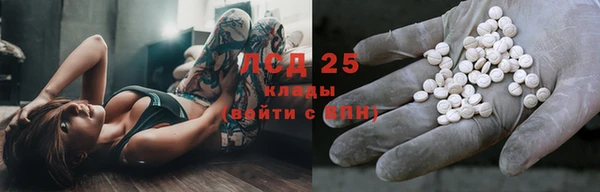ГАЛЛЮЦИНОГЕННЫЕ ГРИБЫ Балахна