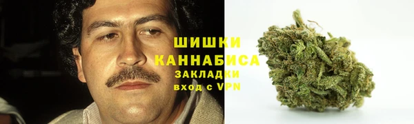 ГАЛЛЮЦИНОГЕННЫЕ ГРИБЫ Балахна