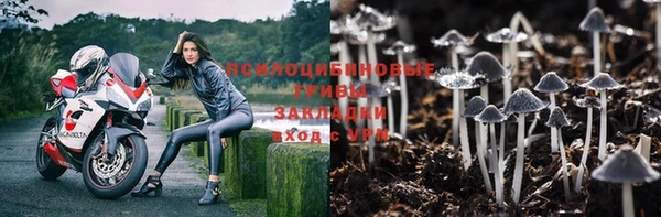 ГАЛЛЮЦИНОГЕННЫЕ ГРИБЫ Балахна