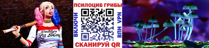 Псилоцибиновые грибы мухоморы  наркота  Краснокаменск 